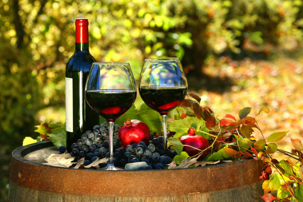 vigne e vino di Sicilia